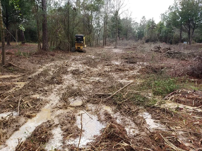 Affordable yard cleanup service experts serving Cantonment, FL - Seaside Grounds Maintenance