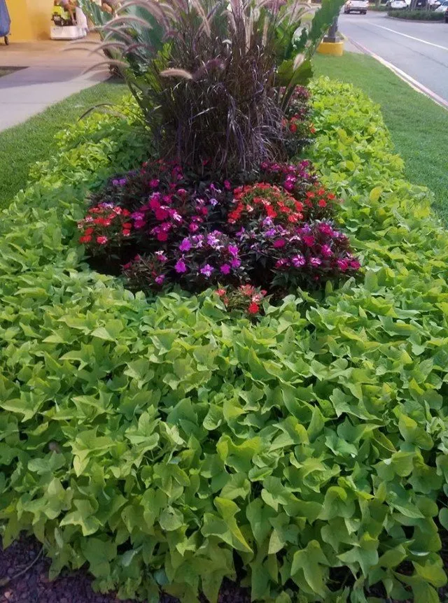 Reliable lawn care service in Cantonment, FL - Seaside Grounds Maintenance