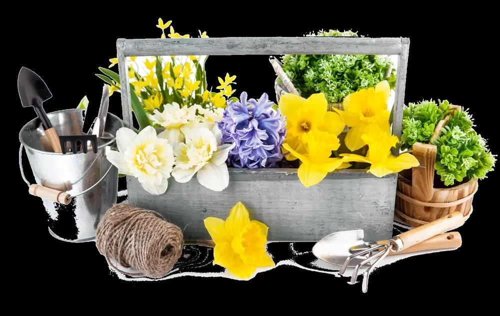 Trusted yard maintenance experts serving Cantonment, FL - Seaside Grounds Maintenance