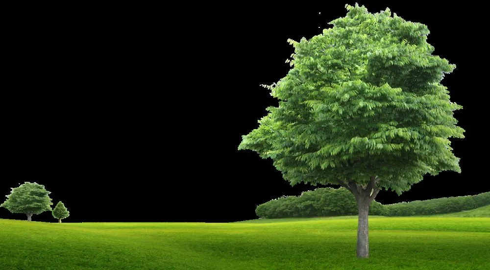 Affordable landscape installation in Cantonment, FL - Seaside Grounds Maintenance