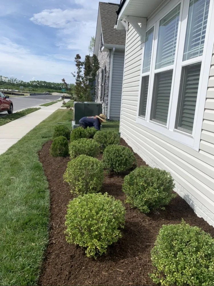 Local yard maintenance in Rehoboth Beach, DE - Seaside Lawnscapes