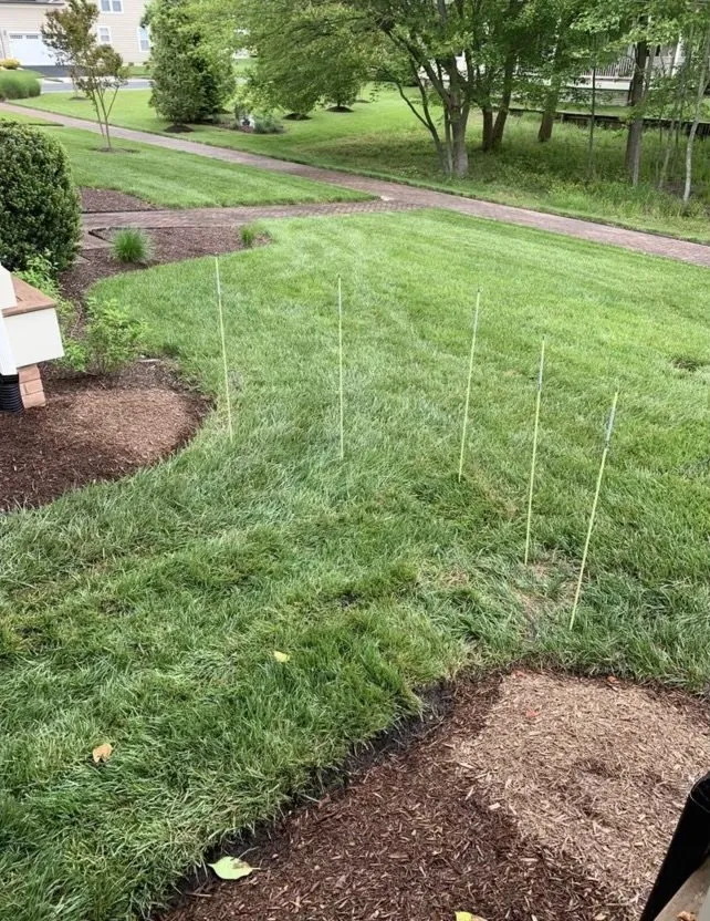 Local landscape design for homes in Rehoboth Beach, DE by Seaside Lawnscapes