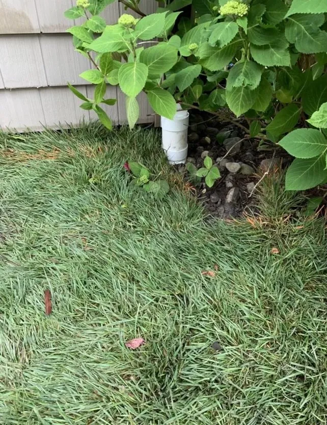 Top-rated landscape installation in Rehoboth Beach, DE by Seaside Lawnscapes