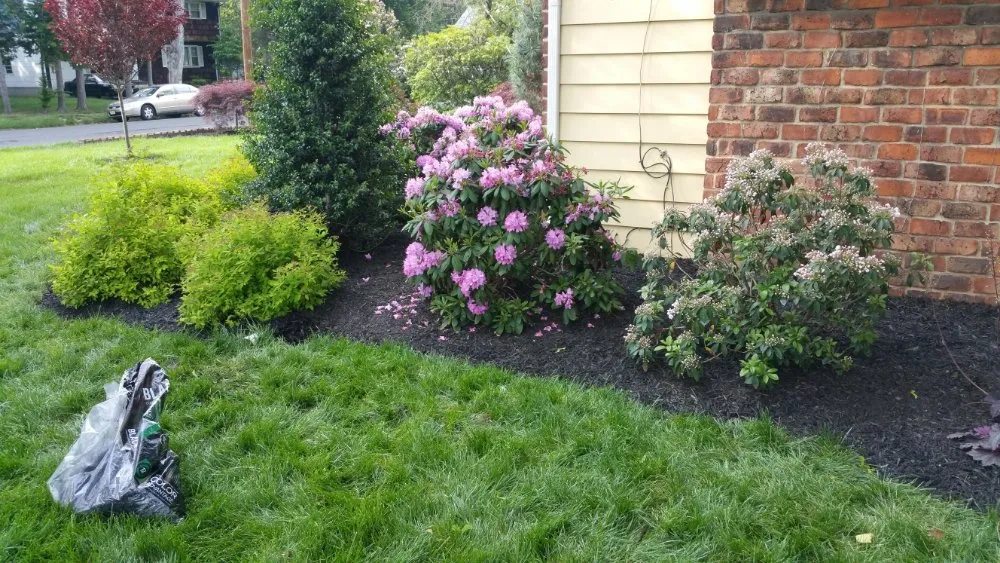 Custom landscaping services for outdoor upgrades in Plainfield, NJ by Season By Season Lawn Care