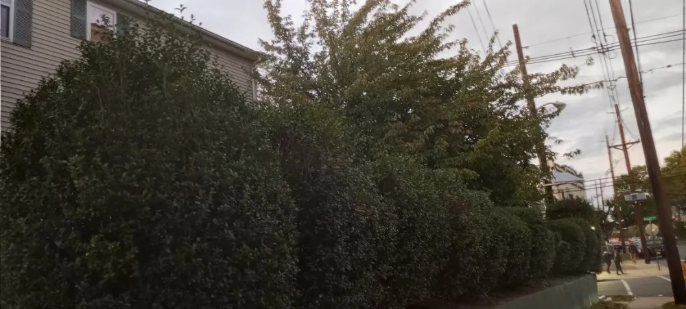 Top-rated residential landscaping for outdoor upgrades across Plainfield, NJ - Season By Season Lawn Care