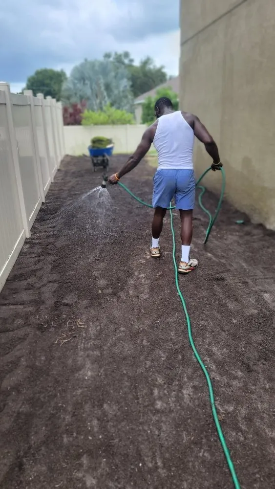 Reliable landscaping services in Tampa, FL by Season Cultivation Services