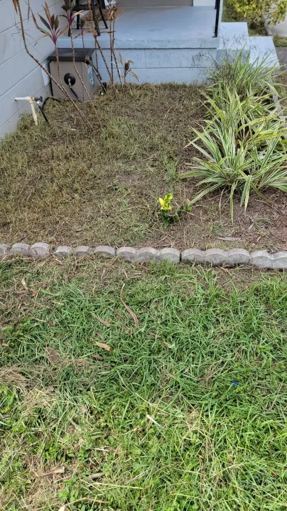 Reliable residential landscaping near you across Tampa, FL - Season Cultivation Services