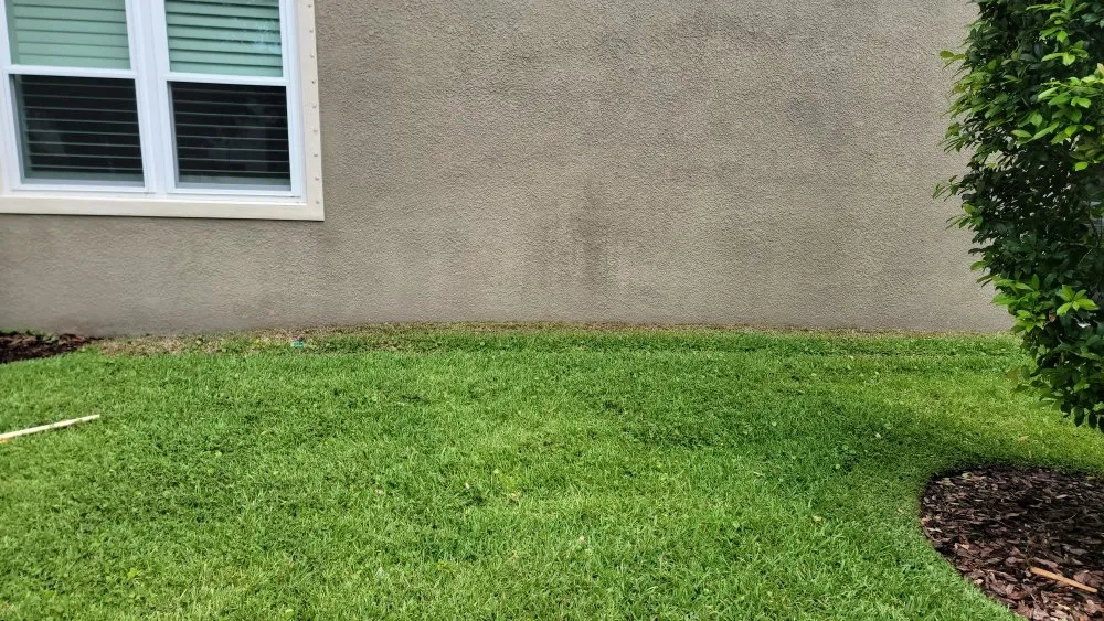 Expert lawn mowing service for homes across Tampa, FL - Season Cultivation Services