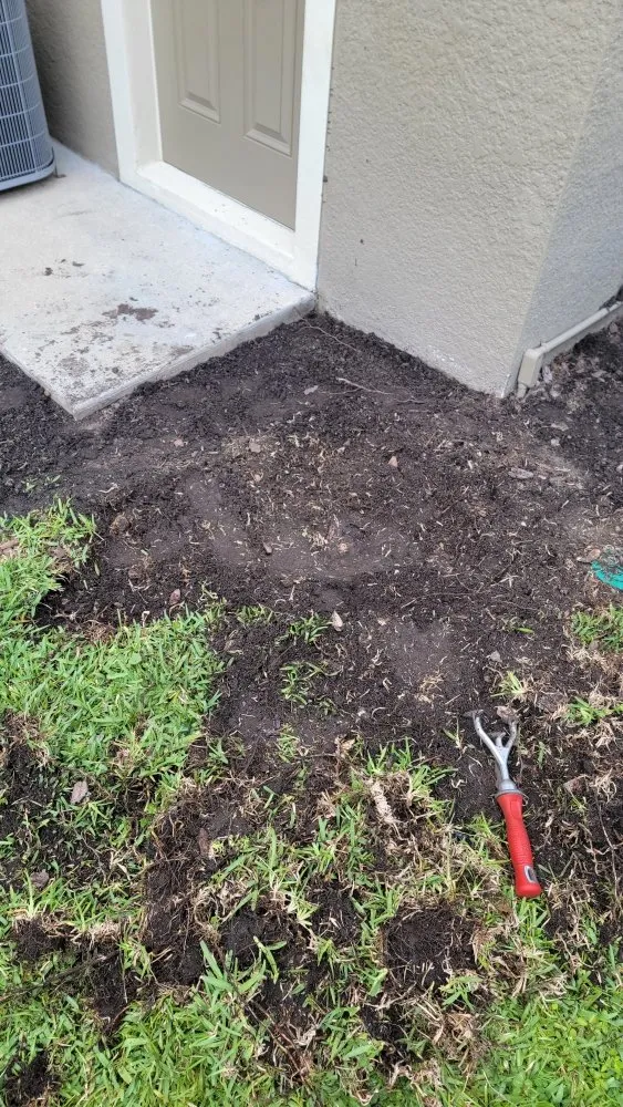 Custom residential landscaping in Tampa, FL - Season Cultivation Services