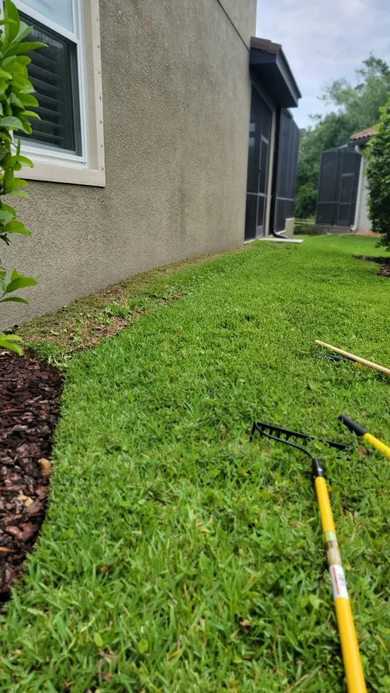Expert outdoor landscaping in Tampa, FL by Season Cultivation Services