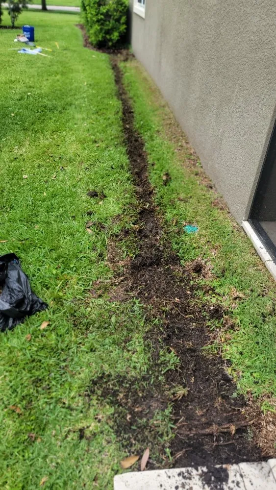 Professional residential landscaping with custom design across Tampa, FL - Season Cultivation Services