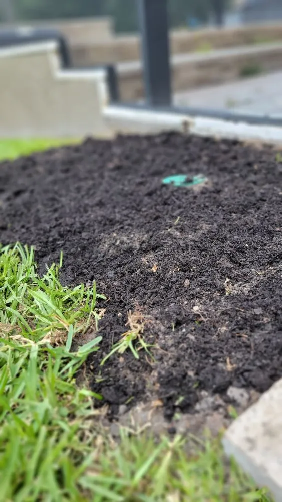 Affordable yard maintenance for residential properties across Tampa, FL - Season Cultivation Services