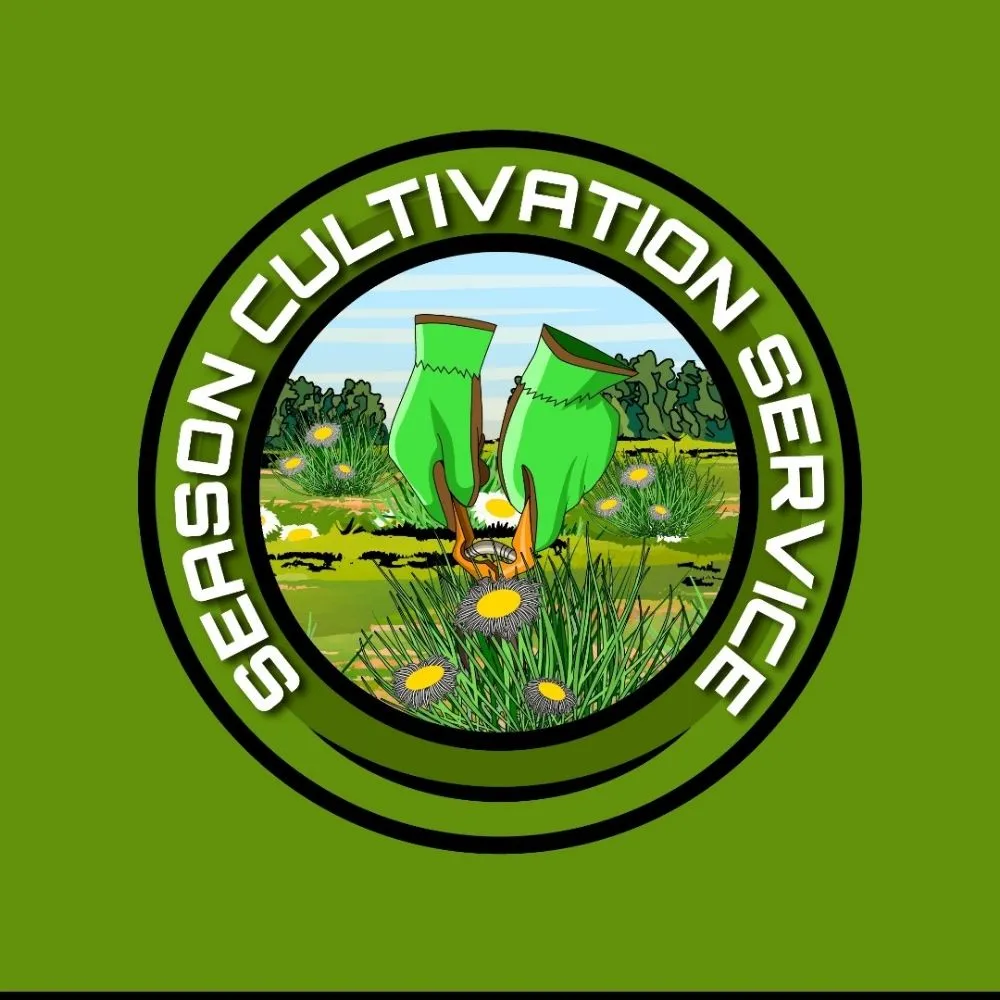 Professional landscape design in Tampa, FL - Season Cultivation Services