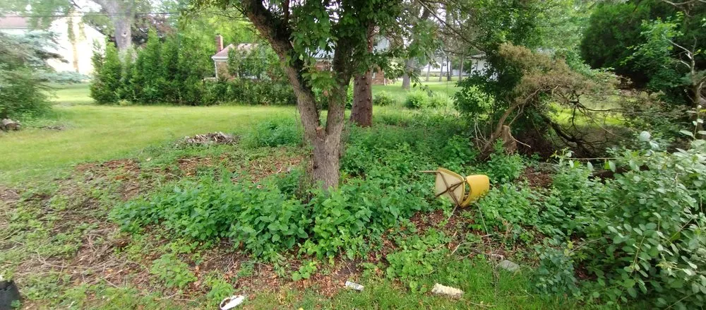 Top-rated lawn mowing service for outdoor upgrades across Dearborn Heights, MI - Season pros