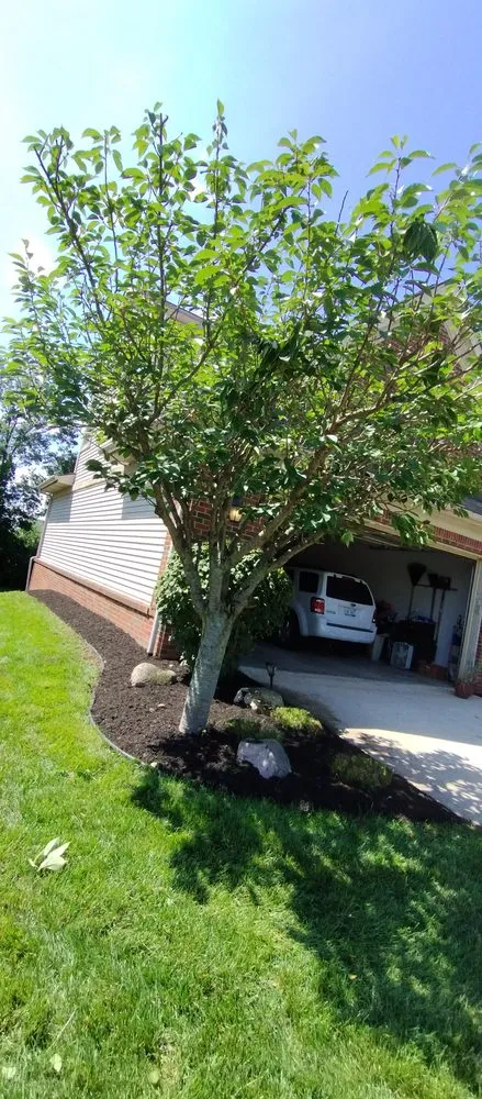 Trusted lawn care service for homes in Dearborn Heights, MI by Season pros