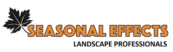 Seasonal Effects Logo