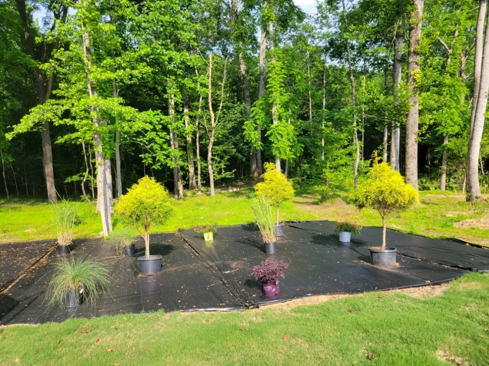 Affordable outdoor landscaping for homes in Clayton, NC by Seasonal Images Landscapes