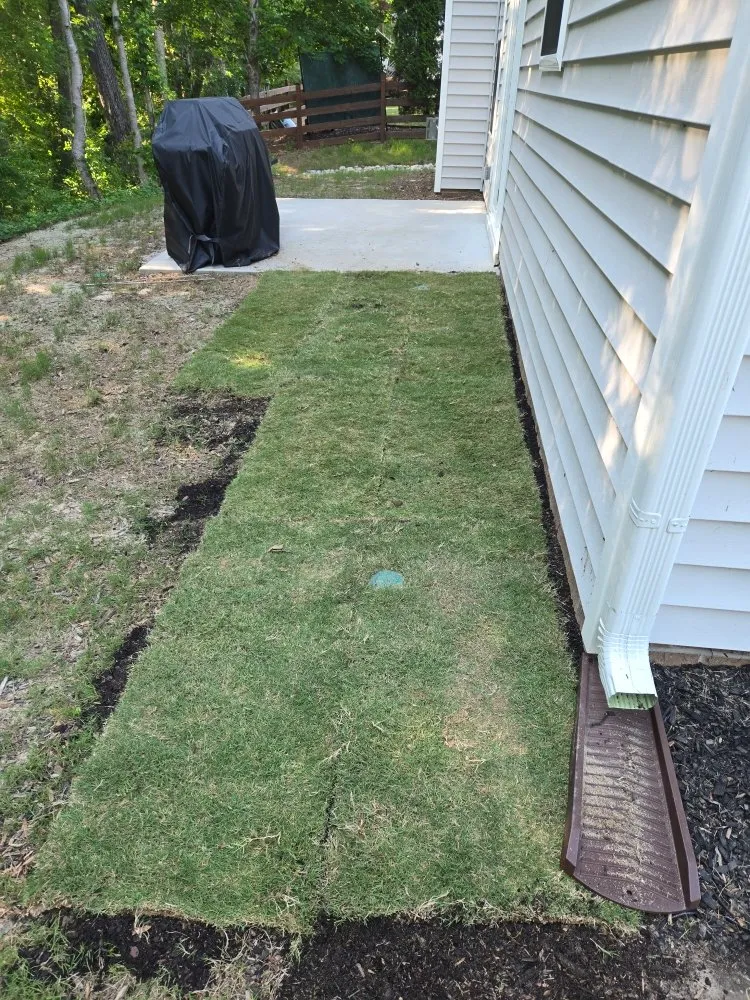 Custom yard cleanup service for beautiful yards across Clayton, NC - Seasonal Images Landscapes