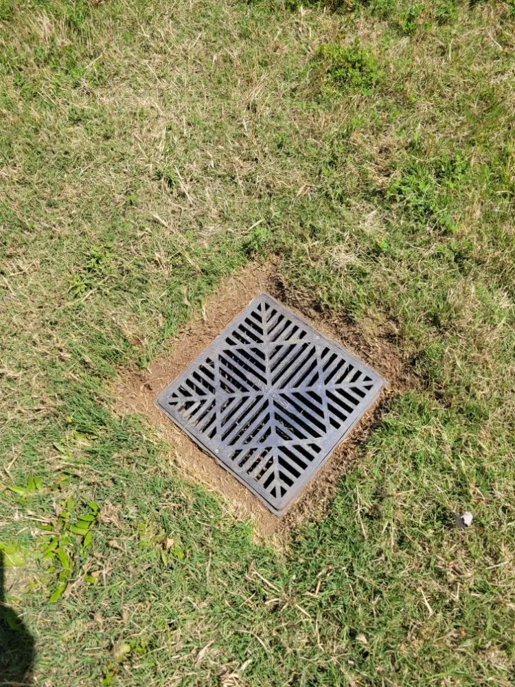 Trusted yard maintenance for residential properties across Clayton, NC - Seasonal Images Landscapes