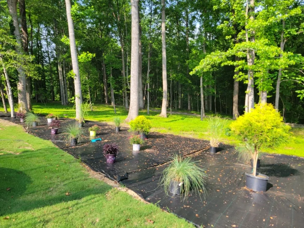 Expert yard cleanup service for year-round maintenance in Clayton, NC by Seasonal Images Landscapes