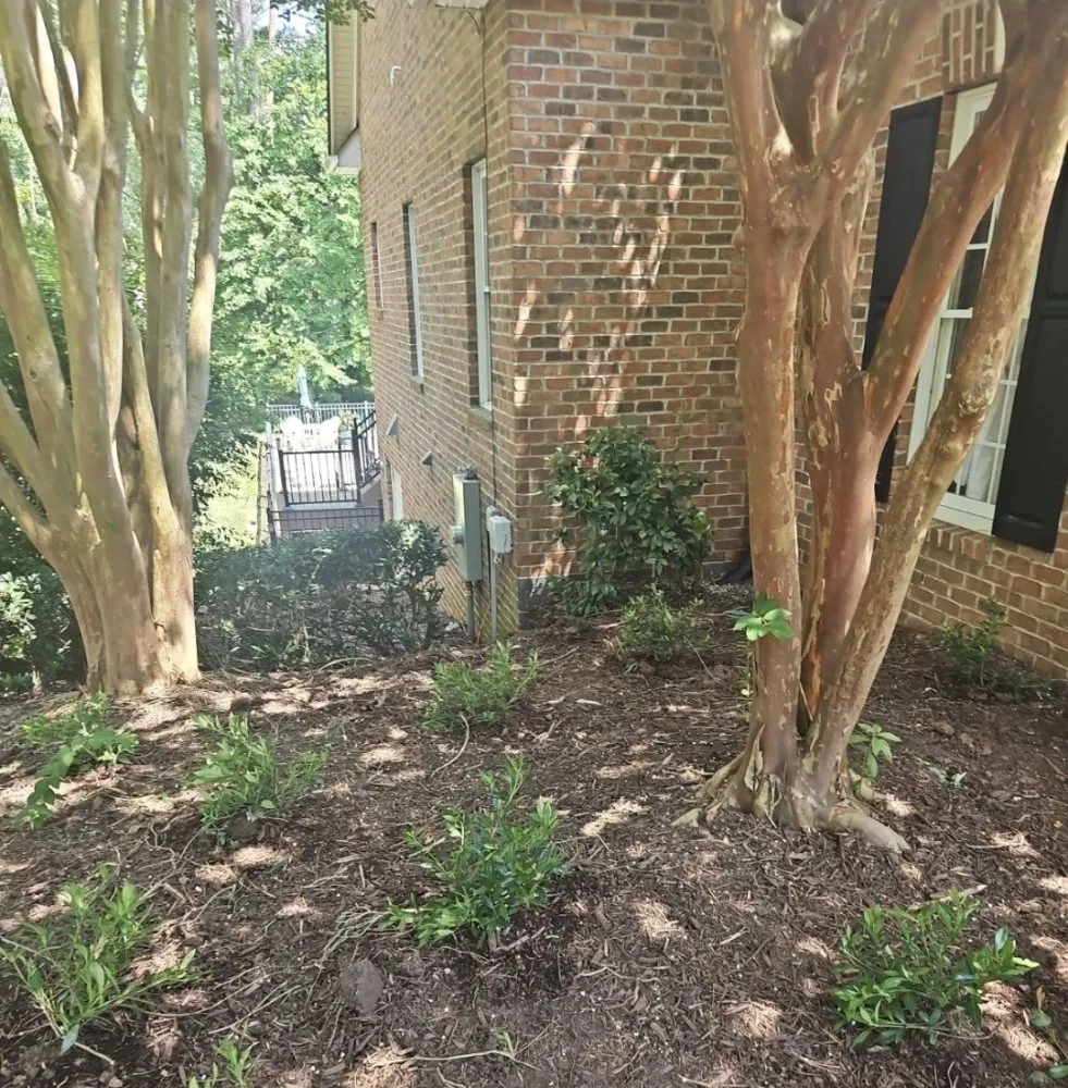 Affordable garden landscaping in Clayton, NC by Seasonal Images Landscapes