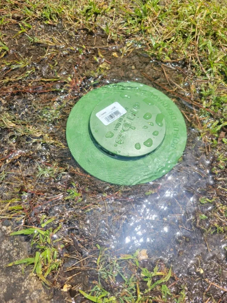 Professional yard cleanup service in Clayton, NC by Seasonal Images Landscapes