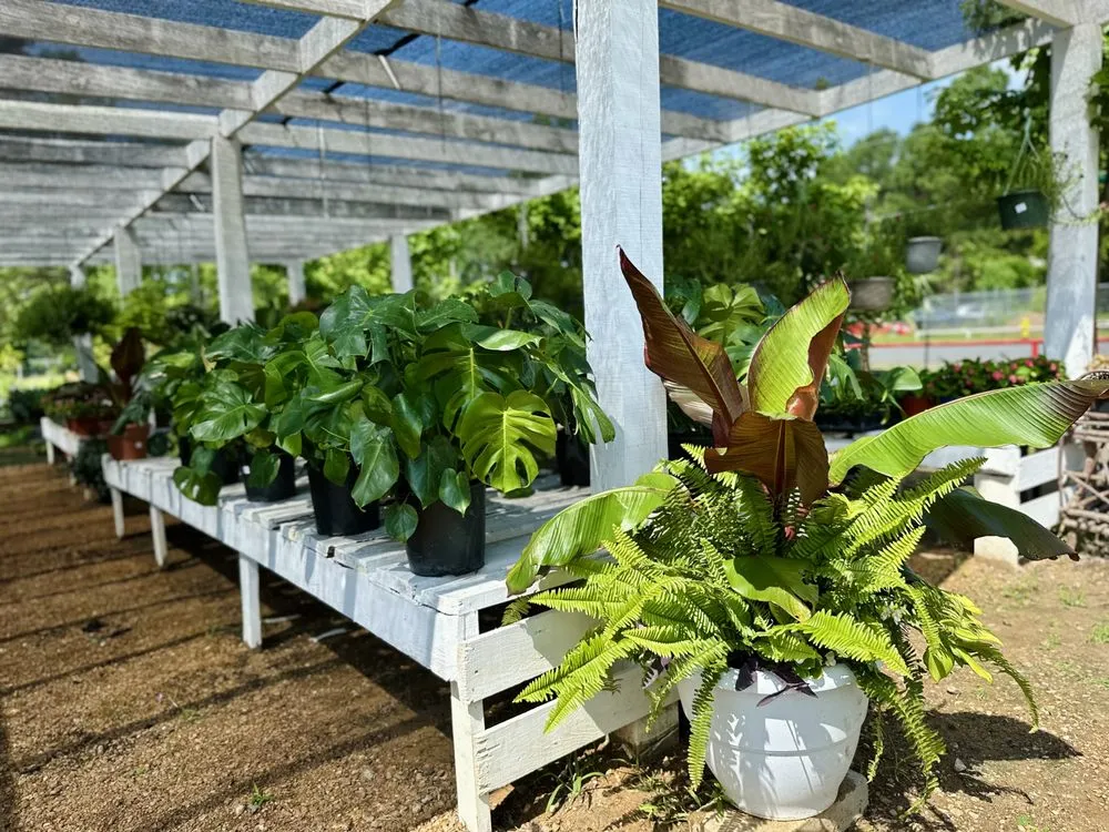 Top-rated garden landscaping in Longview, TX - Seasonal Landscaping