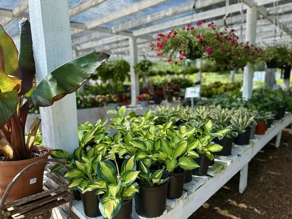 Affordable yard maintenance experts serving Longview, TX - Seasonal Landscaping