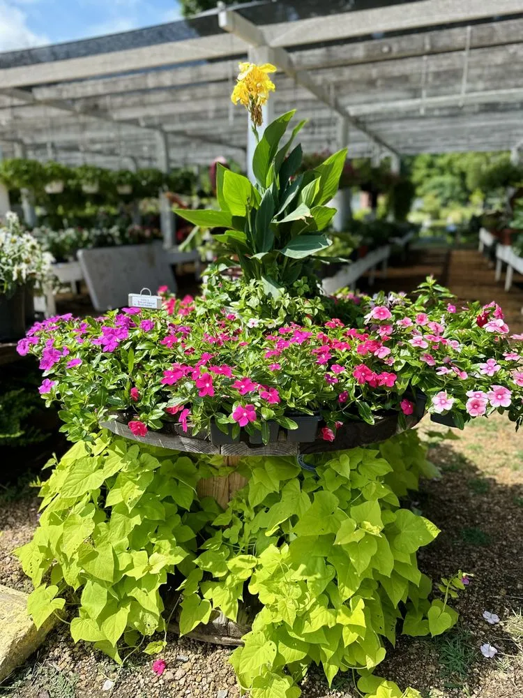 Custom lawn mowing service for outdoor upgrades across Longview, TX - Seasonal Landscaping