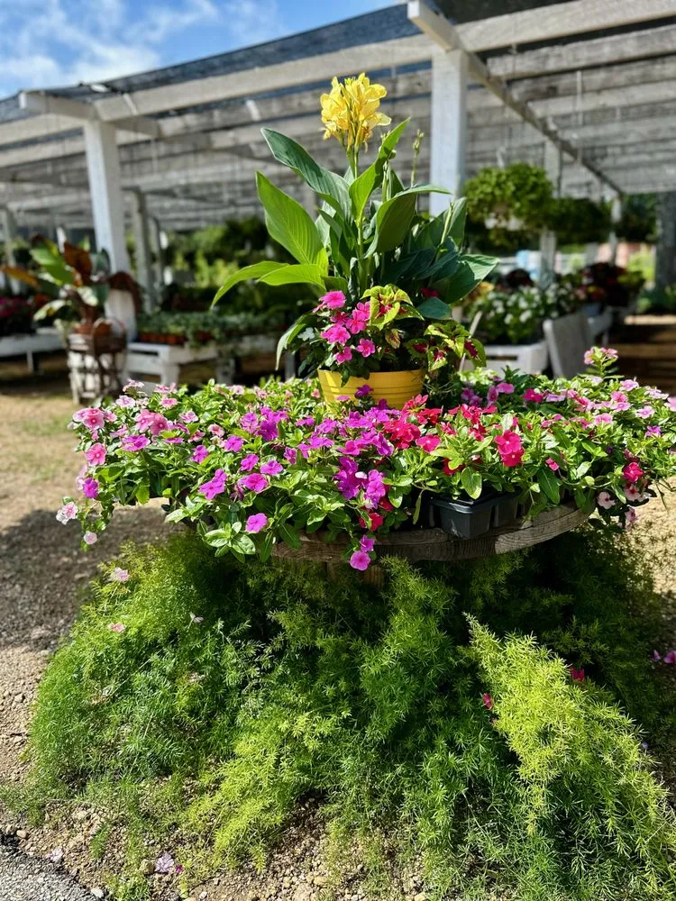 Top-rated yard maintenance in Longview, TX - Seasonal Landscaping