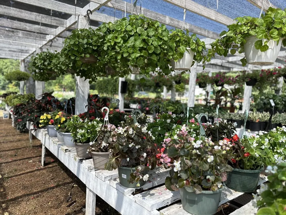 Expert landscape design for year-round maintenance across Longview, TX - Seasonal Landscaping