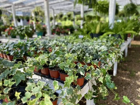 Seasonal Landscaping