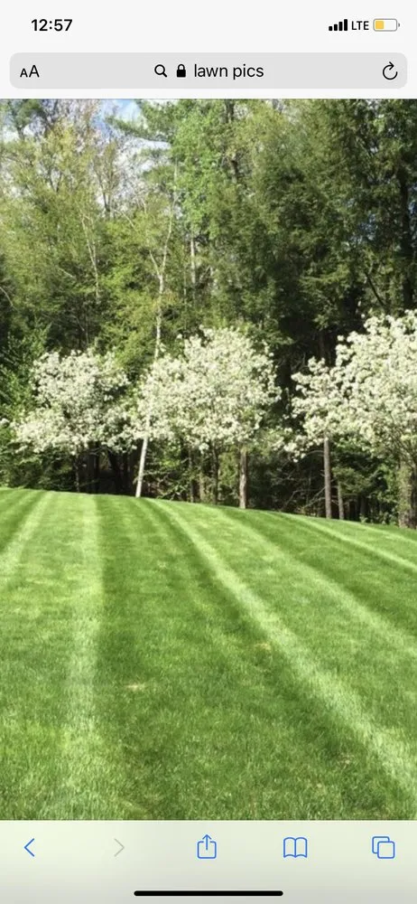 Expert yard maintenance in Churchville, VA - Seasonal Lawn Care Service