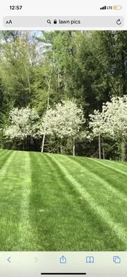 Seasonal Lawn Care Service Logo