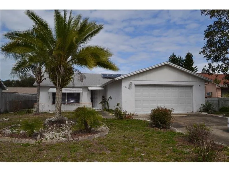 Reliable lawn mowing service with custom design across New Port Richey, FL - Seasonal Lawn Care Services