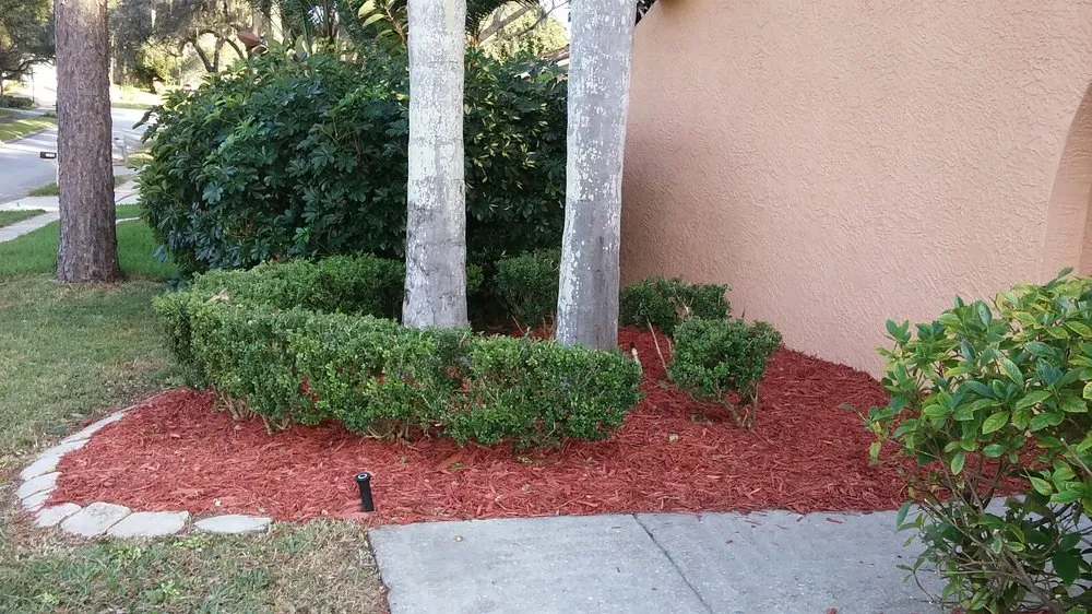 Expert landscape installation experts serving New Port Richey, FL - Seasonal Lawn Care Services