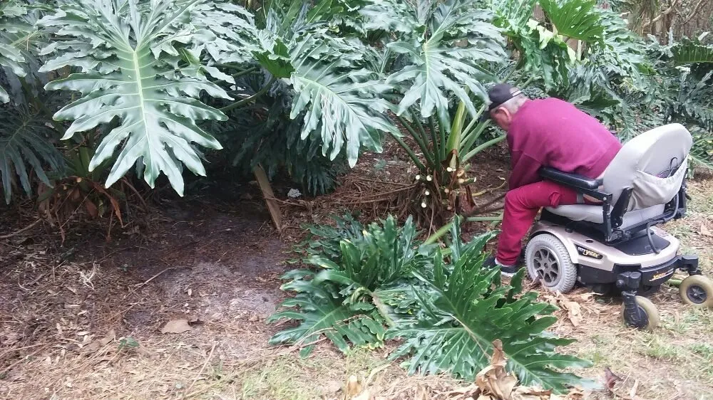 Top-rated landscape design for residential properties in New Port Richey, FL by Seasonal Lawn Care Services