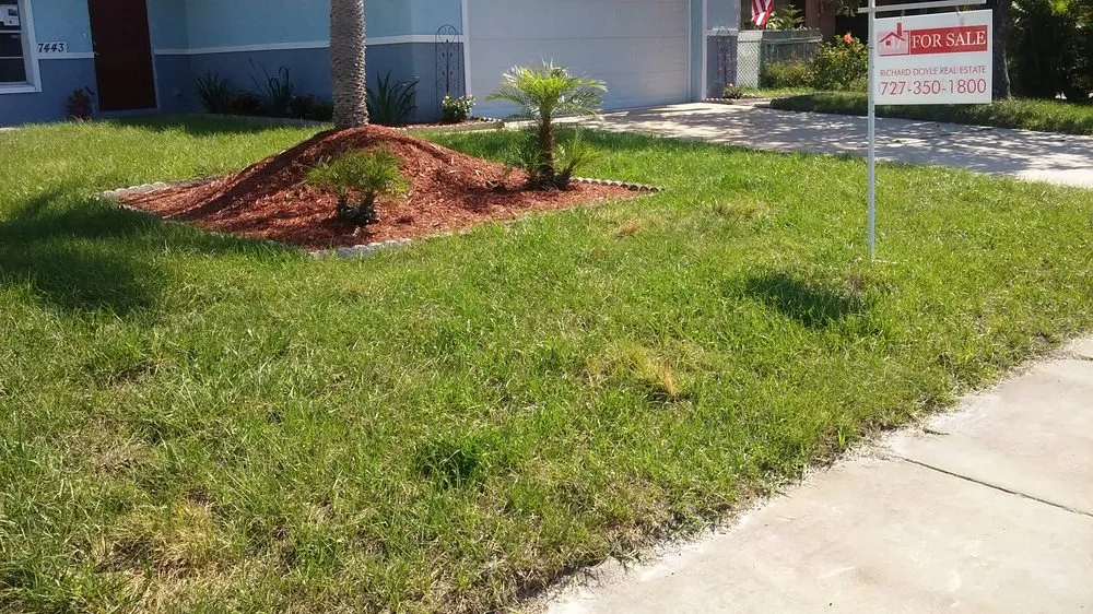 Expert residential landscaping experts serving New Port Richey, FL - Seasonal Lawn Care Services