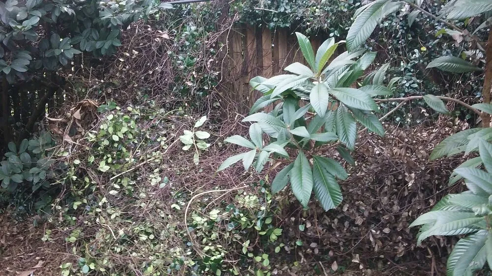 Professional landscape installation for homes across New Port Richey, FL - Seasonal Lawn Care Services