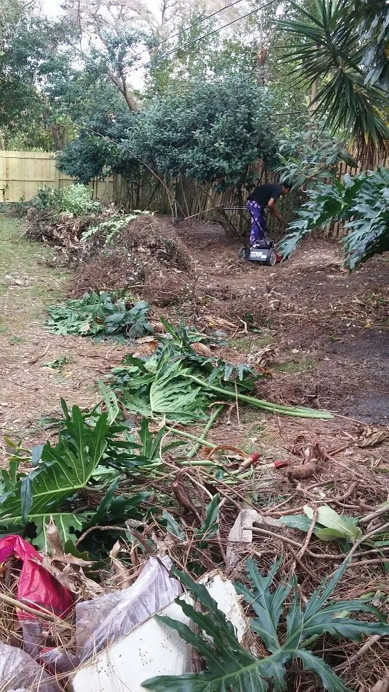 Custom lawn mowing service near you in New Port Richey, FL by Seasonal Lawn Care Services