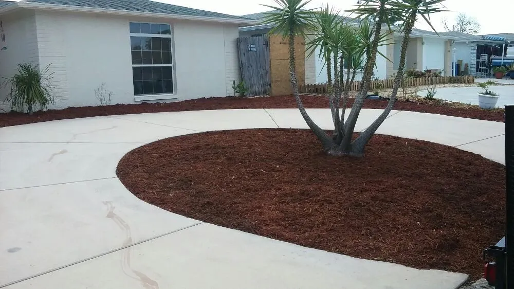 Affordable landscape installation in New Port Richey, FL by Seasonal Lawn Care Services