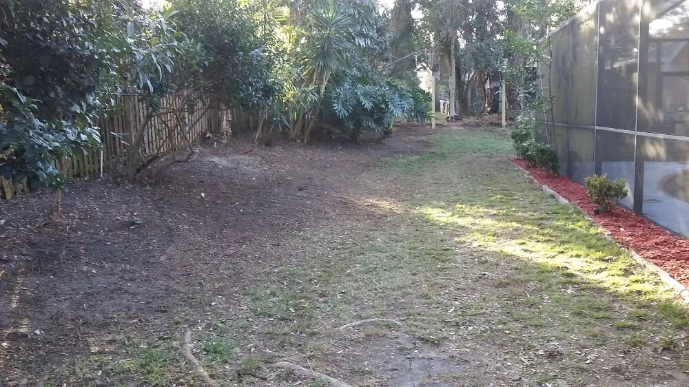 Professional landscaping services in New Port Richey, FL by Seasonal Lawn Care Services