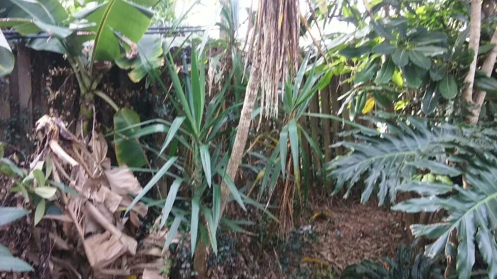 Top-rated garden landscaping in New Port Richey, FL - Seasonal Lawn Care Services