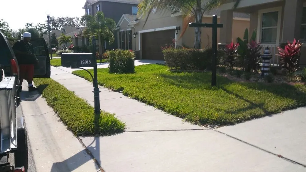 Reliable yard maintenance for residential properties across New Port Richey, FL - Seasonal Lawn Care Services