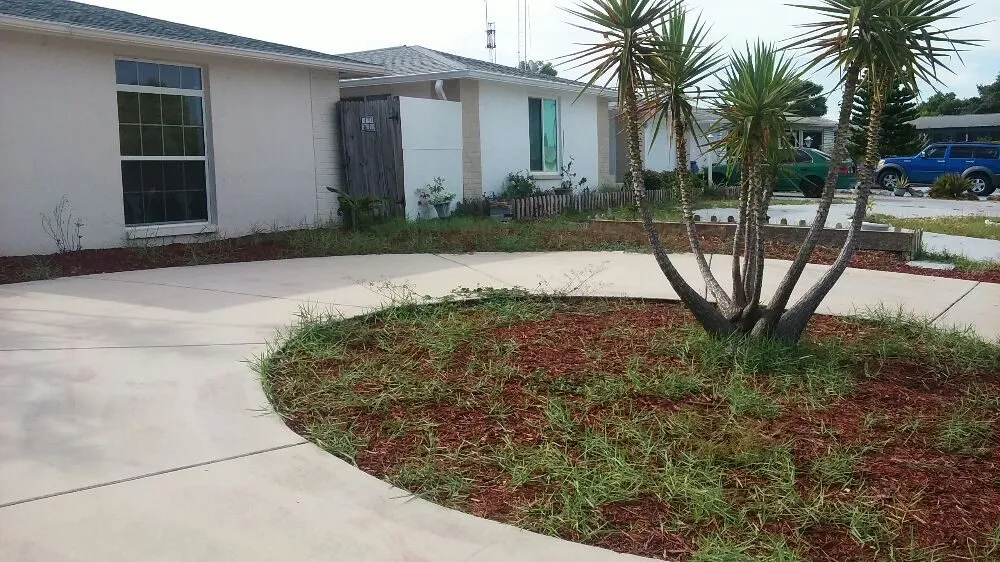Local residential landscaping in New Port Richey, FL by Seasonal Lawn Care Services
