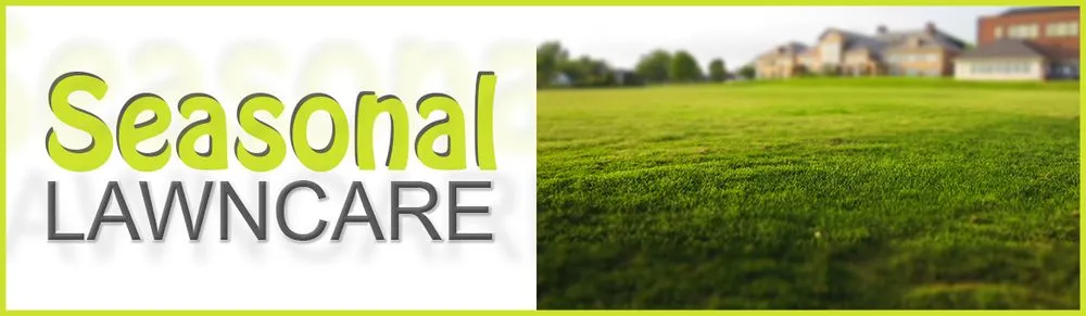 Top-rated lawn mowing service experts serving Port Richey, FL - Seasonal Lawn Care Services