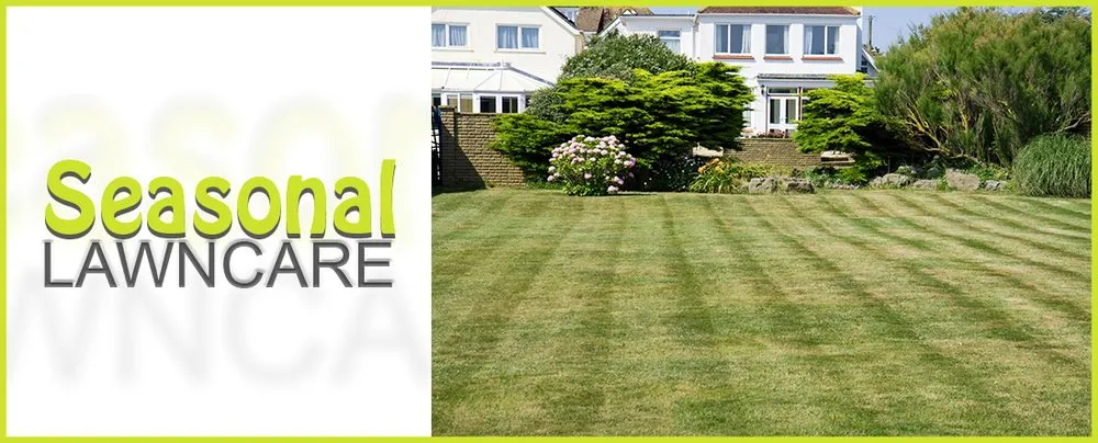 Custom landscape installation for outdoor upgrades across Port Richey, FL - Seasonal Lawn Care Services