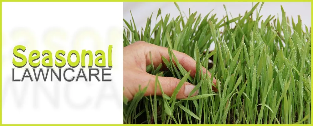 Reliable yard maintenance for year-round maintenance in Port Richey, FL by Seasonal Lawn Care Services