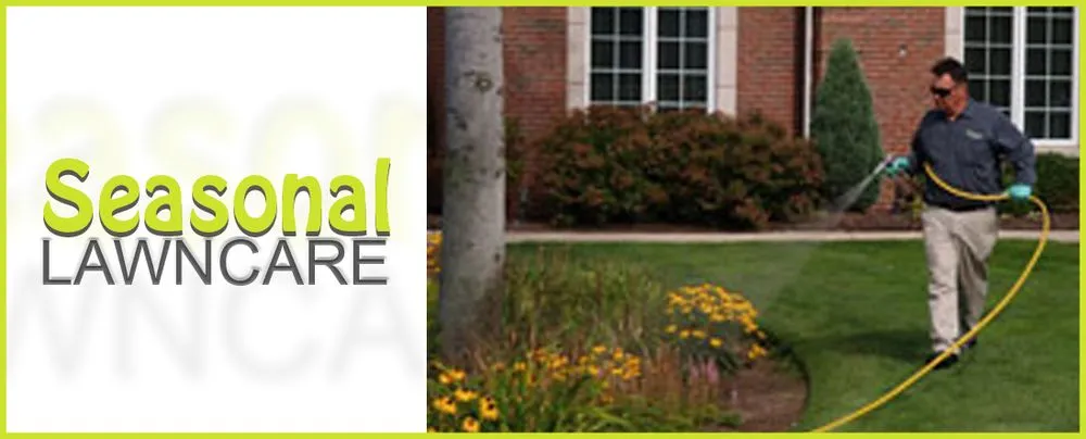 Professional landscape design in Port Richey, FL - Seasonal Lawn Care Services