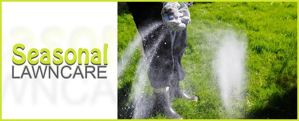 Reliable landscaping services near you across Port Richey, FL - Seasonal Lawn Care Services